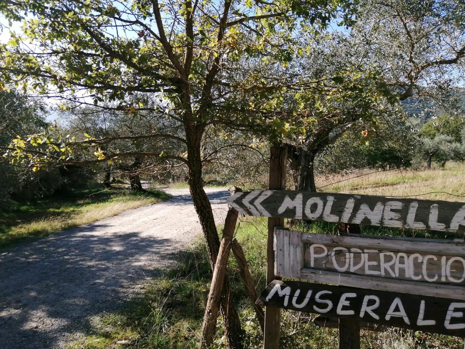 I Casali Di Colle San Paolo Villa Tavernelle  Dış mekan fotoğraf