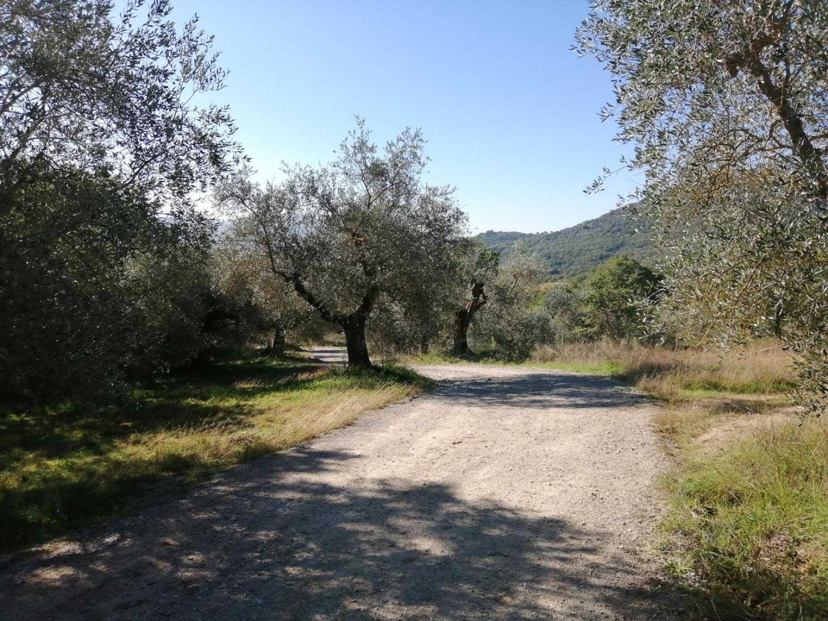 I Casali Di Colle San Paolo Villa Tavernelle  Dış mekan fotoğraf
