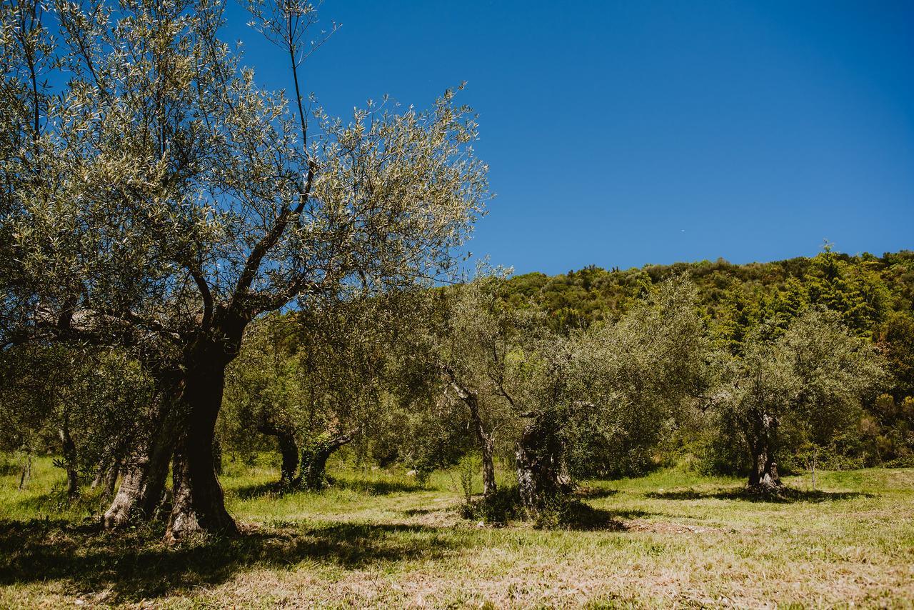 I Casali Di Colle San Paolo Villa Tavernelle  Dış mekan fotoğraf